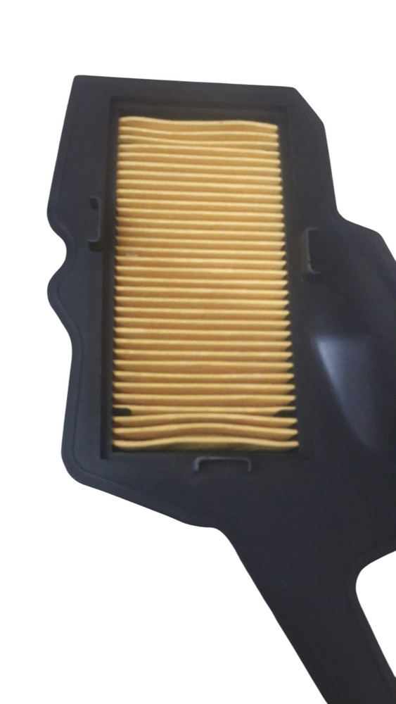 TVS Rider Air Filter