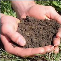 Soil Testing Services