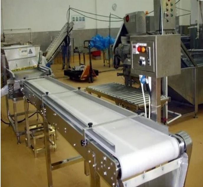 Food Material Conveyor Belt