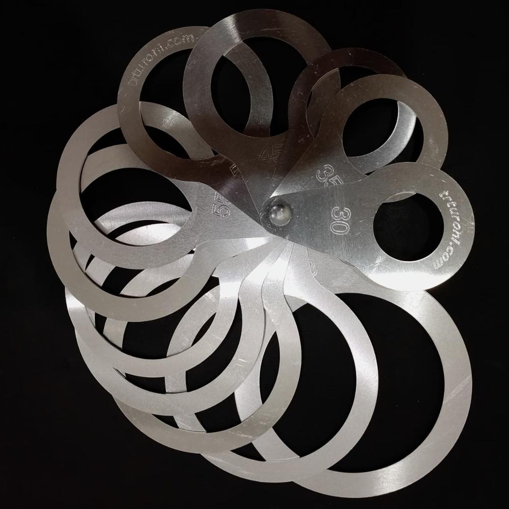 Fruit Sizer