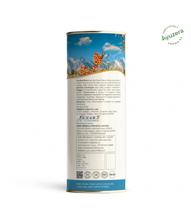 300 ML Sea Buckthorn Fitwell Liquid Concentrate
