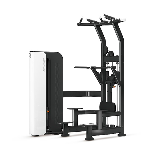 TS008 Assisted Chin Dip Weight Lifting Machine