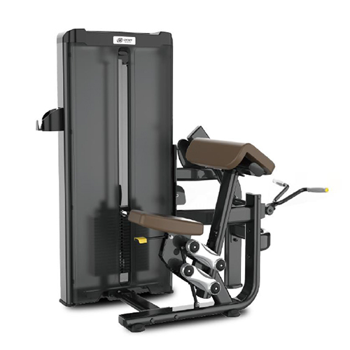 JW006 Biceps Curl Machine