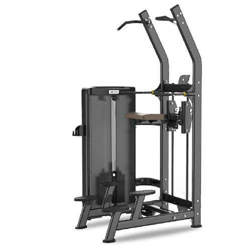JW008 Assisted Chin Dip Machine