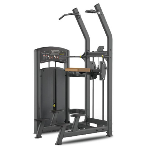 US008 Assited Chin Dip Machine