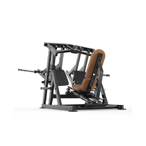 BE004 Lateral Leg Press