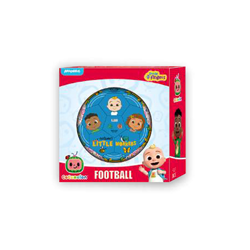 Indoor Games