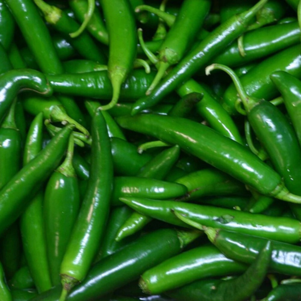 Green Chilly - Moisture Nil, Preserved In Natural Shape, Shelf Life Up To 7 Months | Ideal For Home Cooks & Professional Chefs