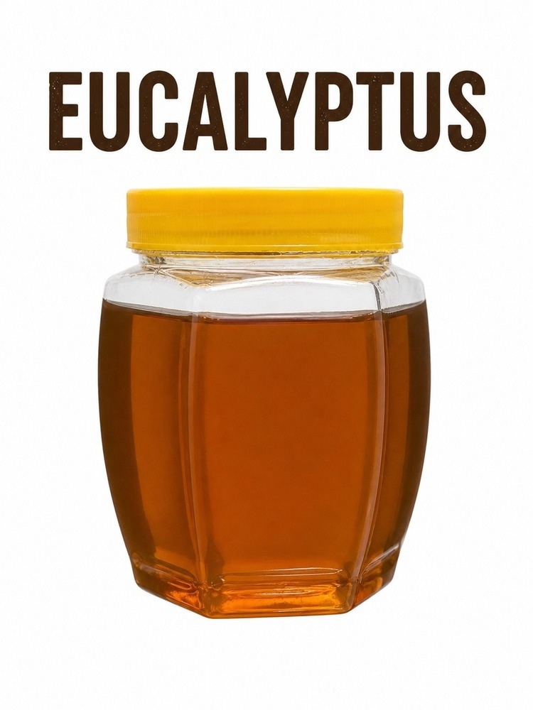 Eucalyptus Honey