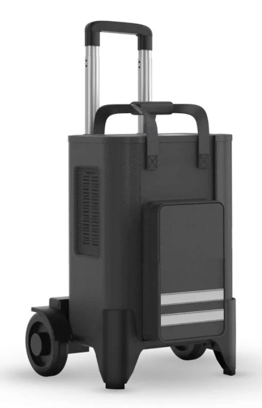 Oxymed P2 Hybrid Portable Oxygen Concentrator