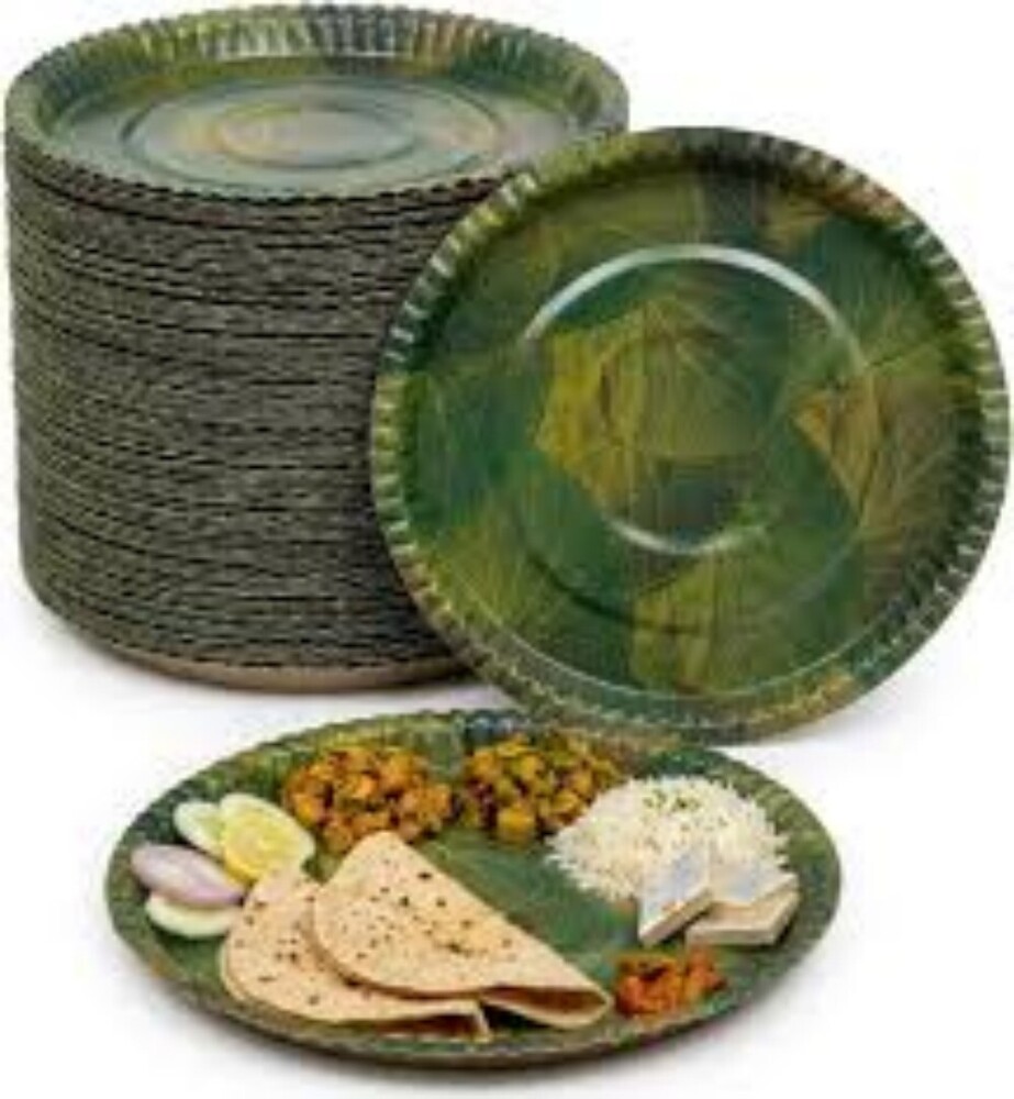 Green Paper Plate