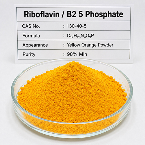 Riboflavin -  B2 5 Phosphate