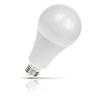 Low Power LED Bulb