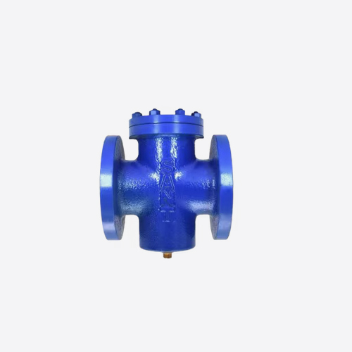 Cast Iron Blue T Strainer