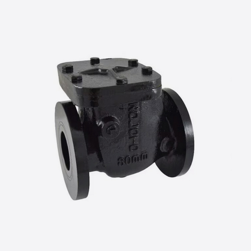 50mm Zoloto 1083 Cast Iron Non Return Valve