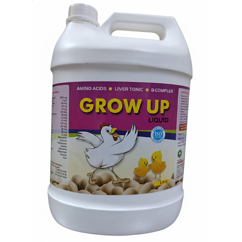 Grow Up