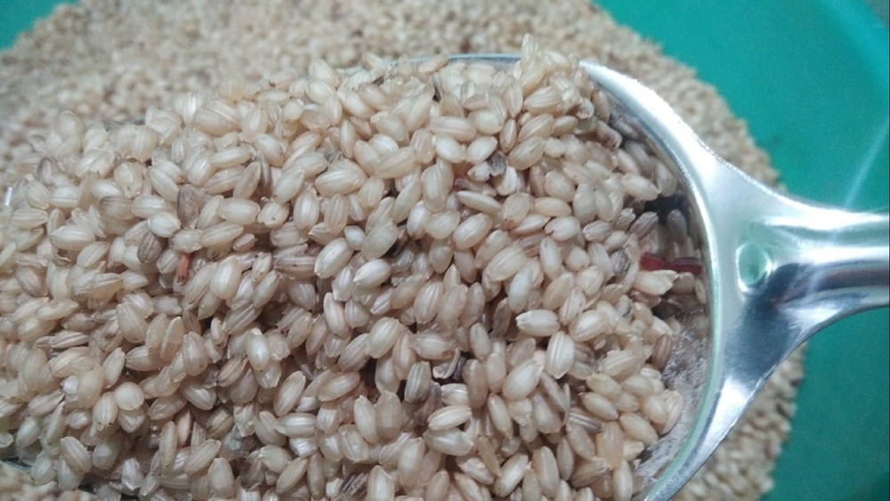 Mani Samba Rice