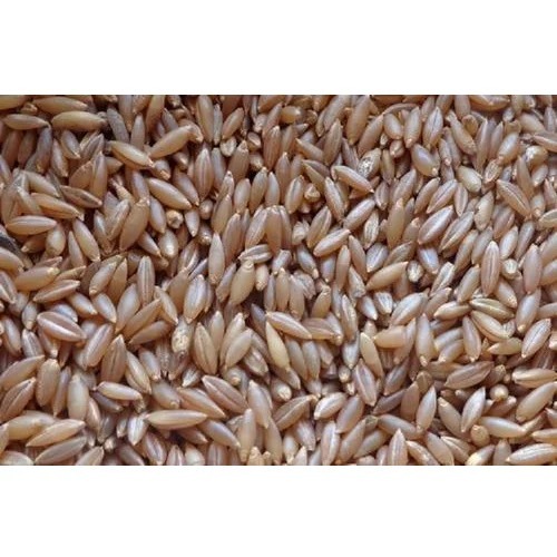 Organic Rice
