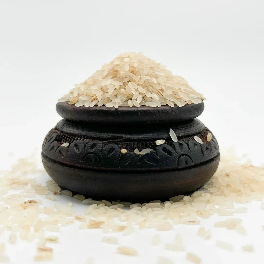 Sivan Samba Rice