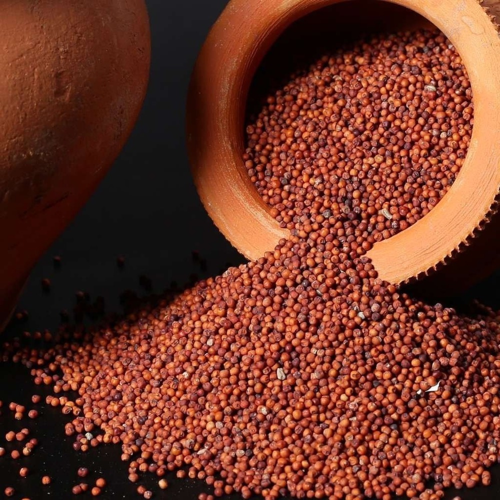 Millet Grain
