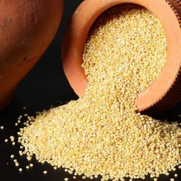 Foxtail Millet Rice