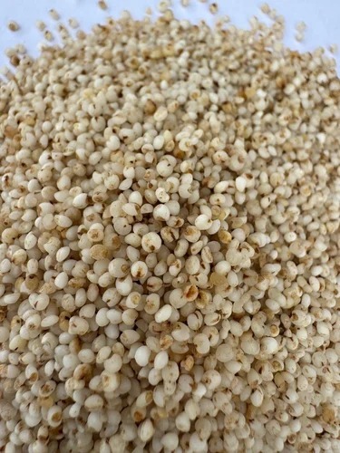 Semi Polished Koda Millet