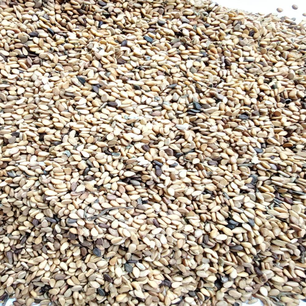 WHITE SESAMA SEEDS