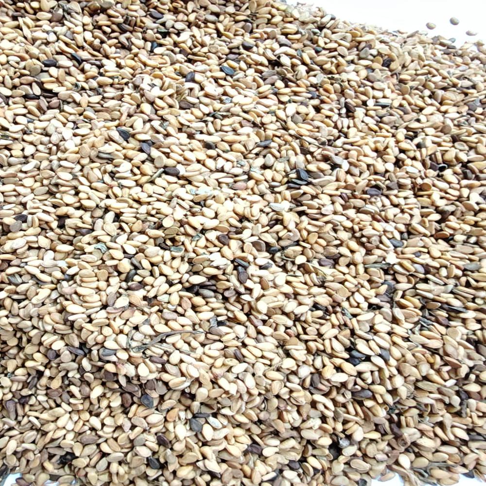 WHITE SESAMA SEEDS