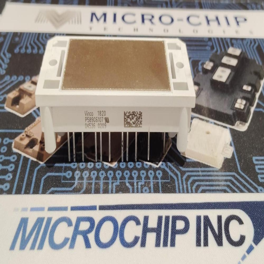 P589C6107 IGBT POWER MODULE