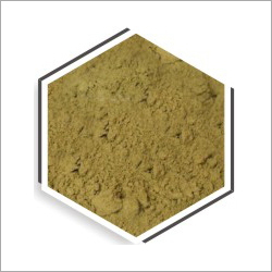 Moringa Fruit Powder