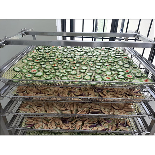 Vegetable Dryer