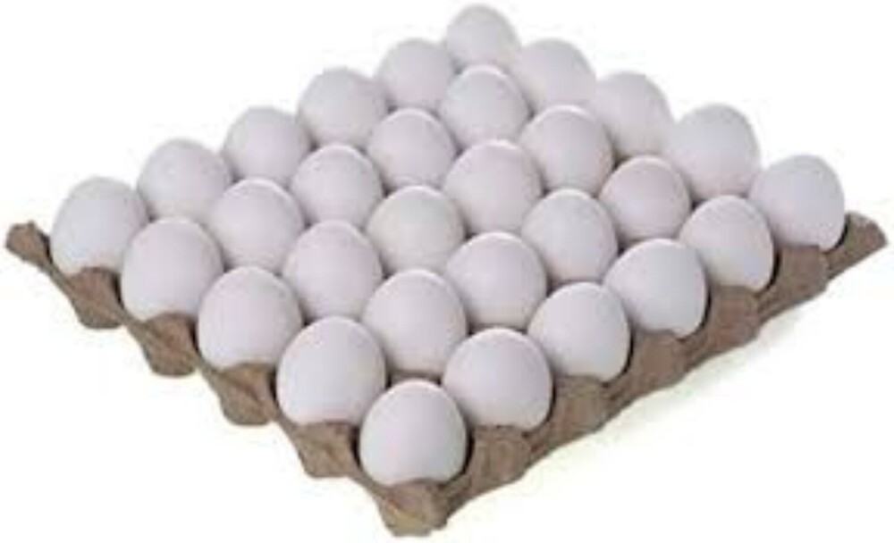 Poultry White Egg
