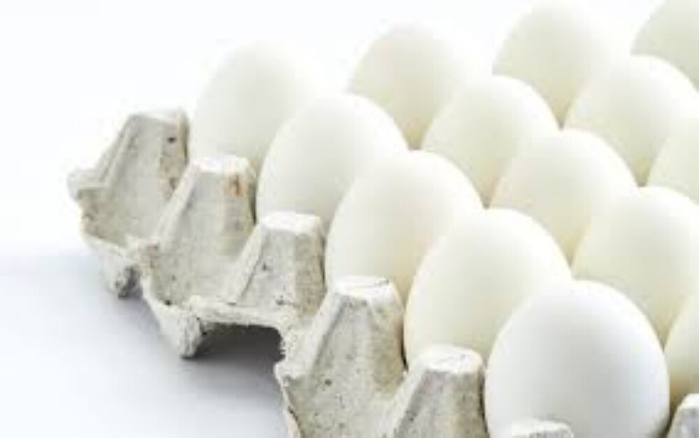 Poultry White Egg