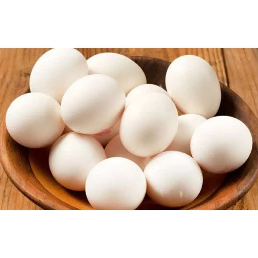 Poultry White Egg