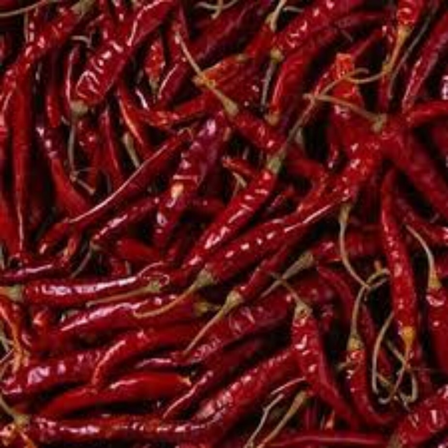 Organic Red Chilli