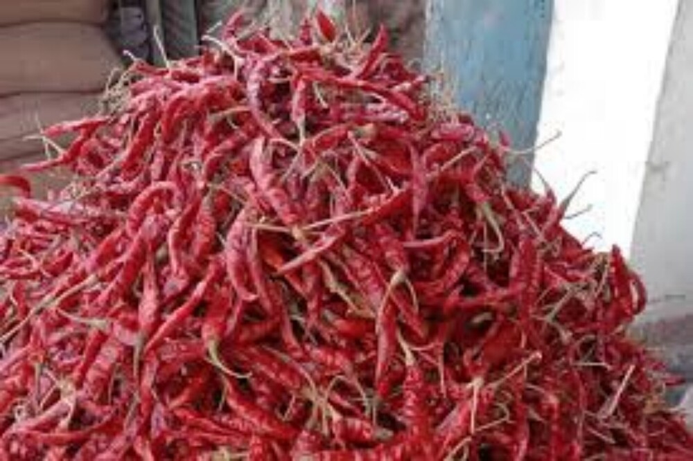 Organic Red Chilli