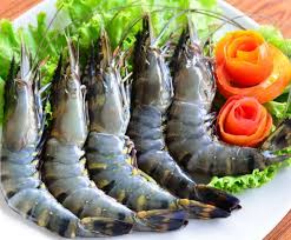 Fresh Tiger Prawn