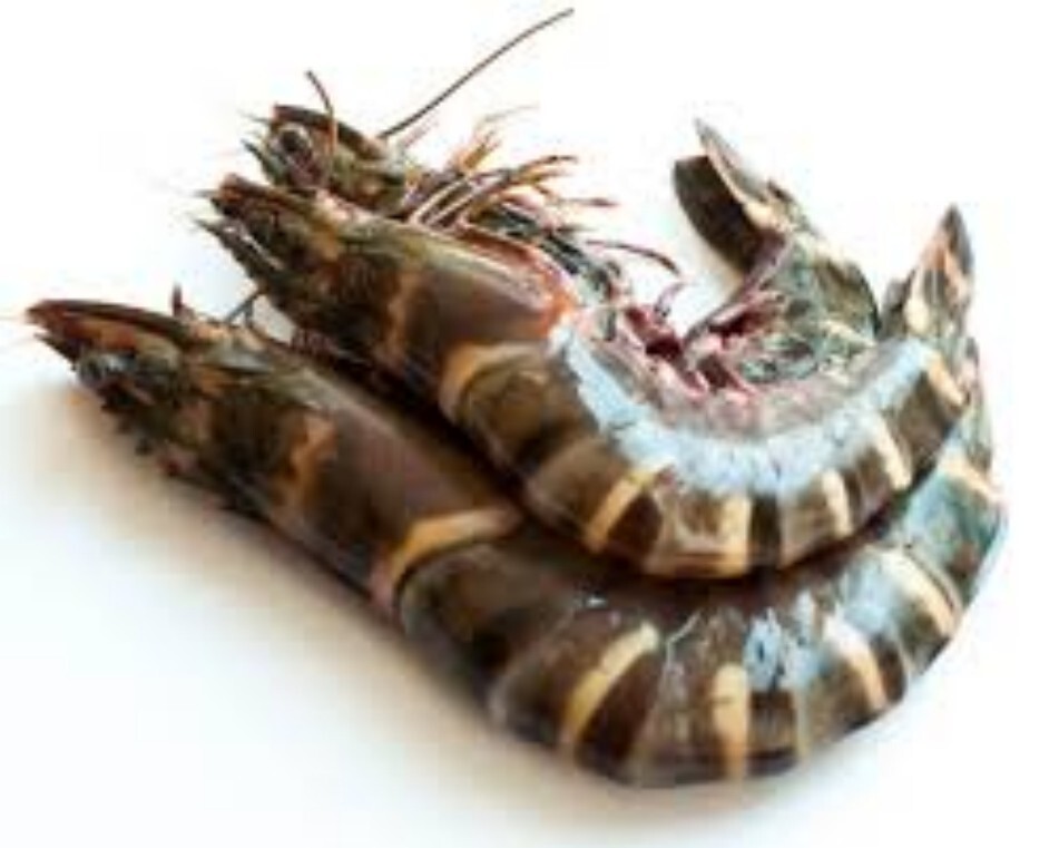 Fresh Tiger Prawn