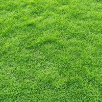 Natrual Grass Manufacturer