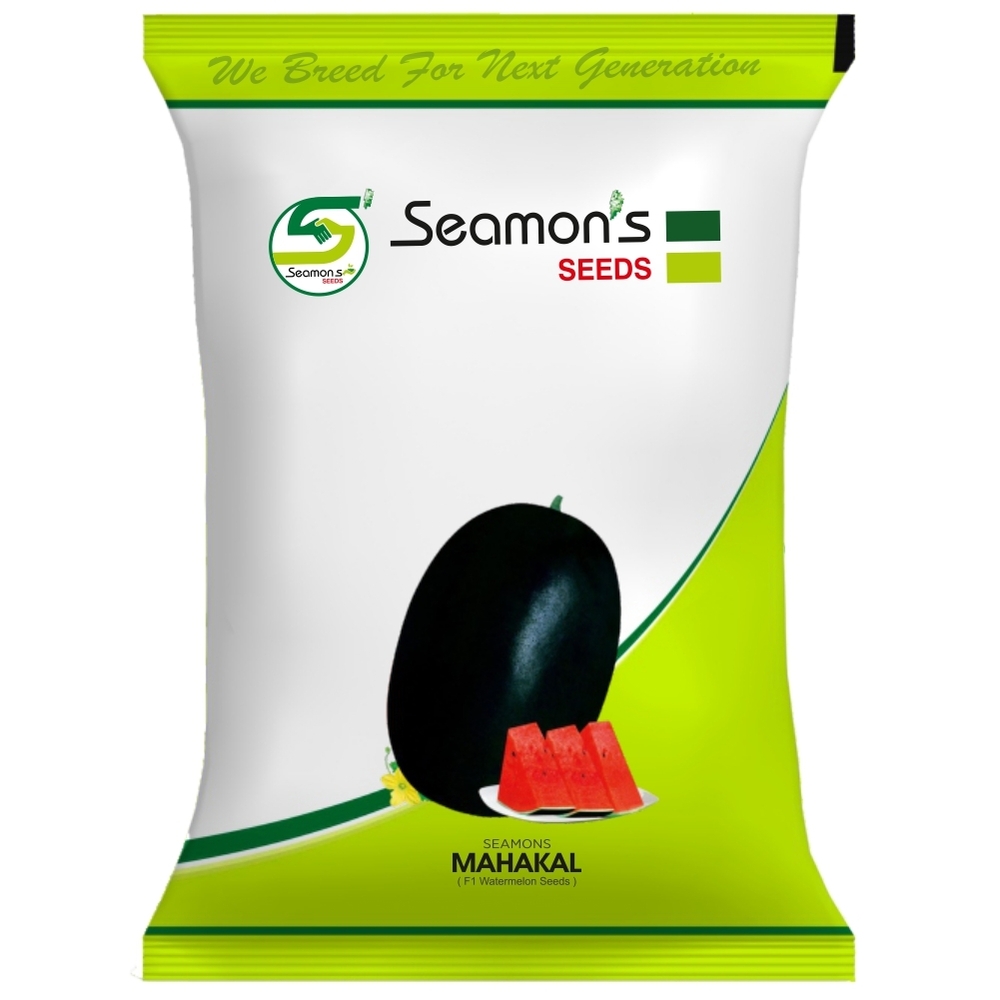 SEAMONS MAHAKAL Watermelon Seeds