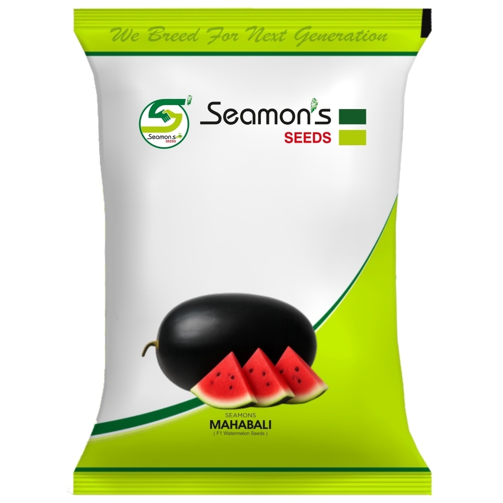 SEAMONS MAHABALI Watermelon Seeds