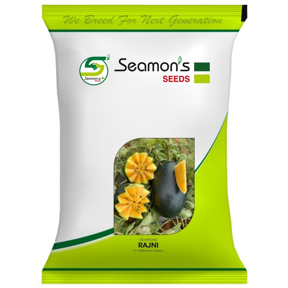SEAMONS RAJNI Watermelon Seeds