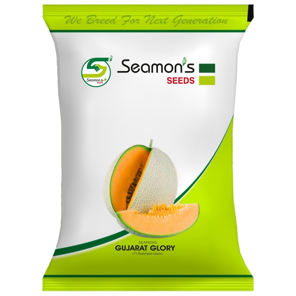 GUJARAT GLORY Muskmelon Seeds