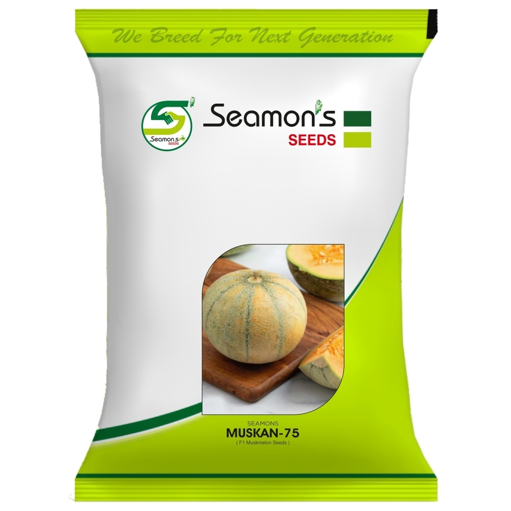 SEAMONS MUSKAN-75 Muskmelon Seeds