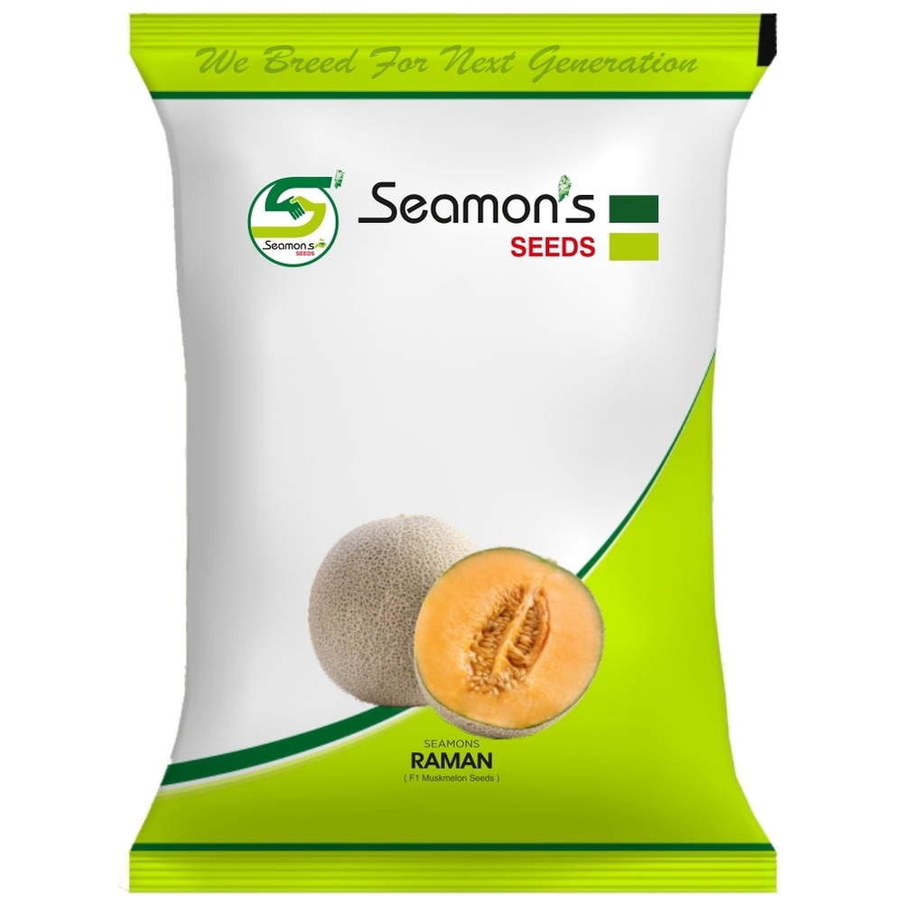 RAMAN Muskmelon Seeds
