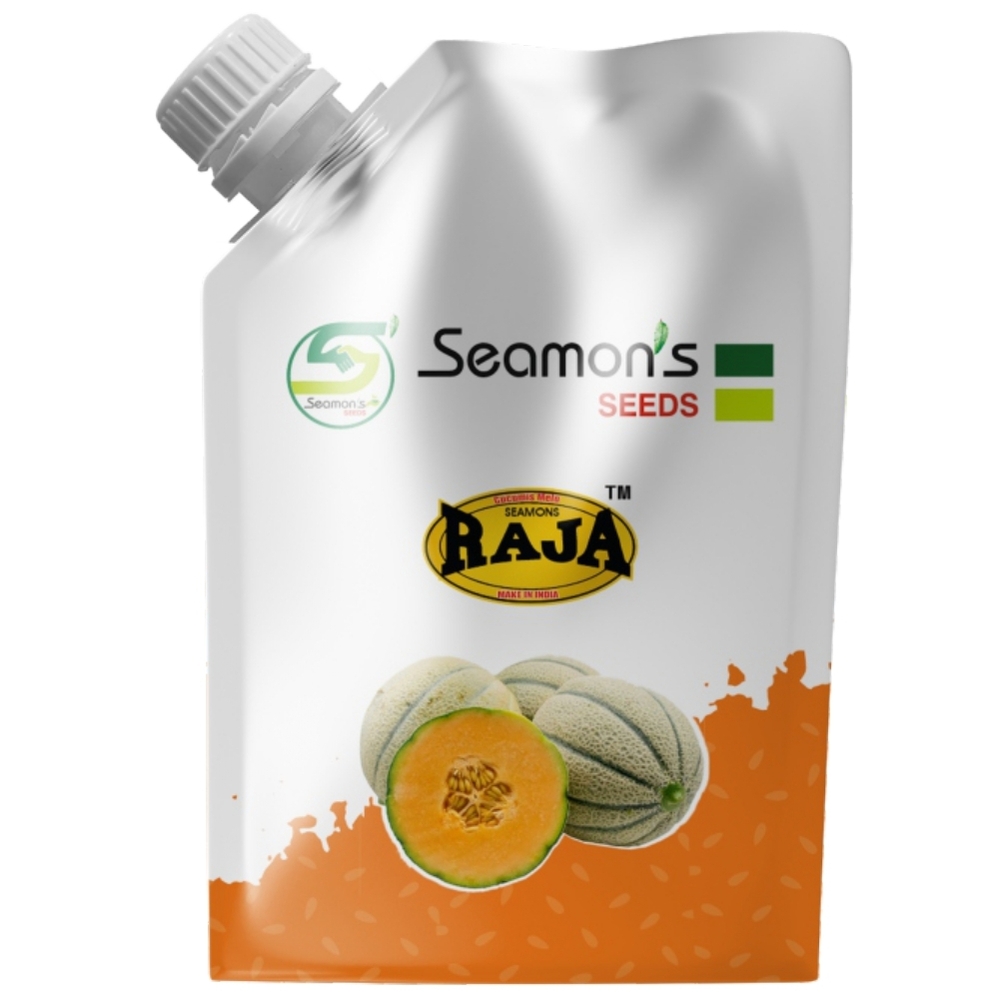 SEAMONS RAJA Muskmelon Seeds