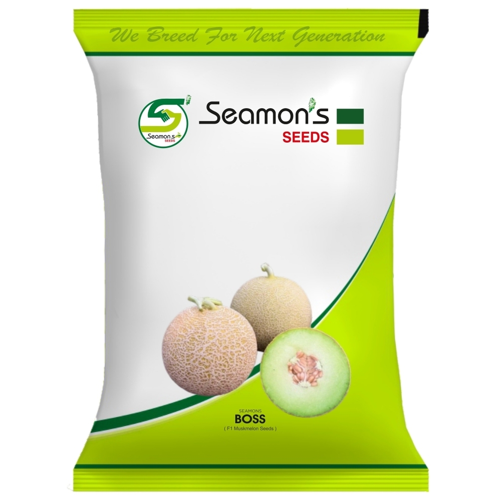 SEAMONS BOSS Muskmelon Seeds