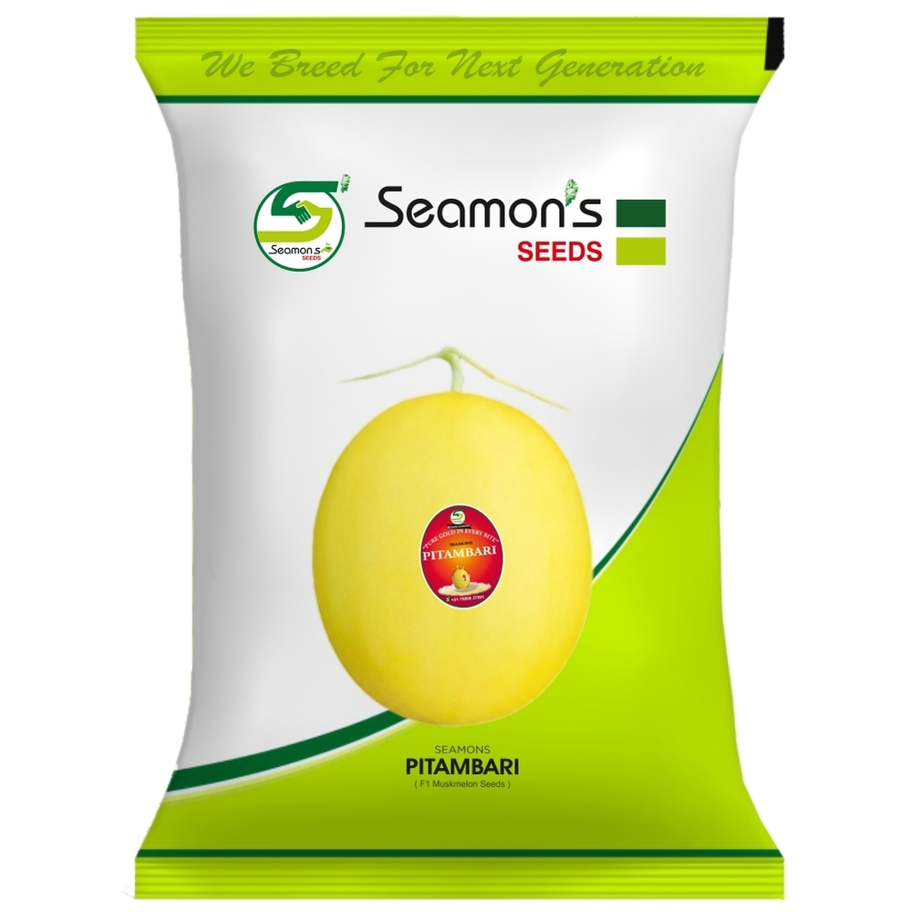 SEAMONS PITAMBARI Muskmelon Seeds