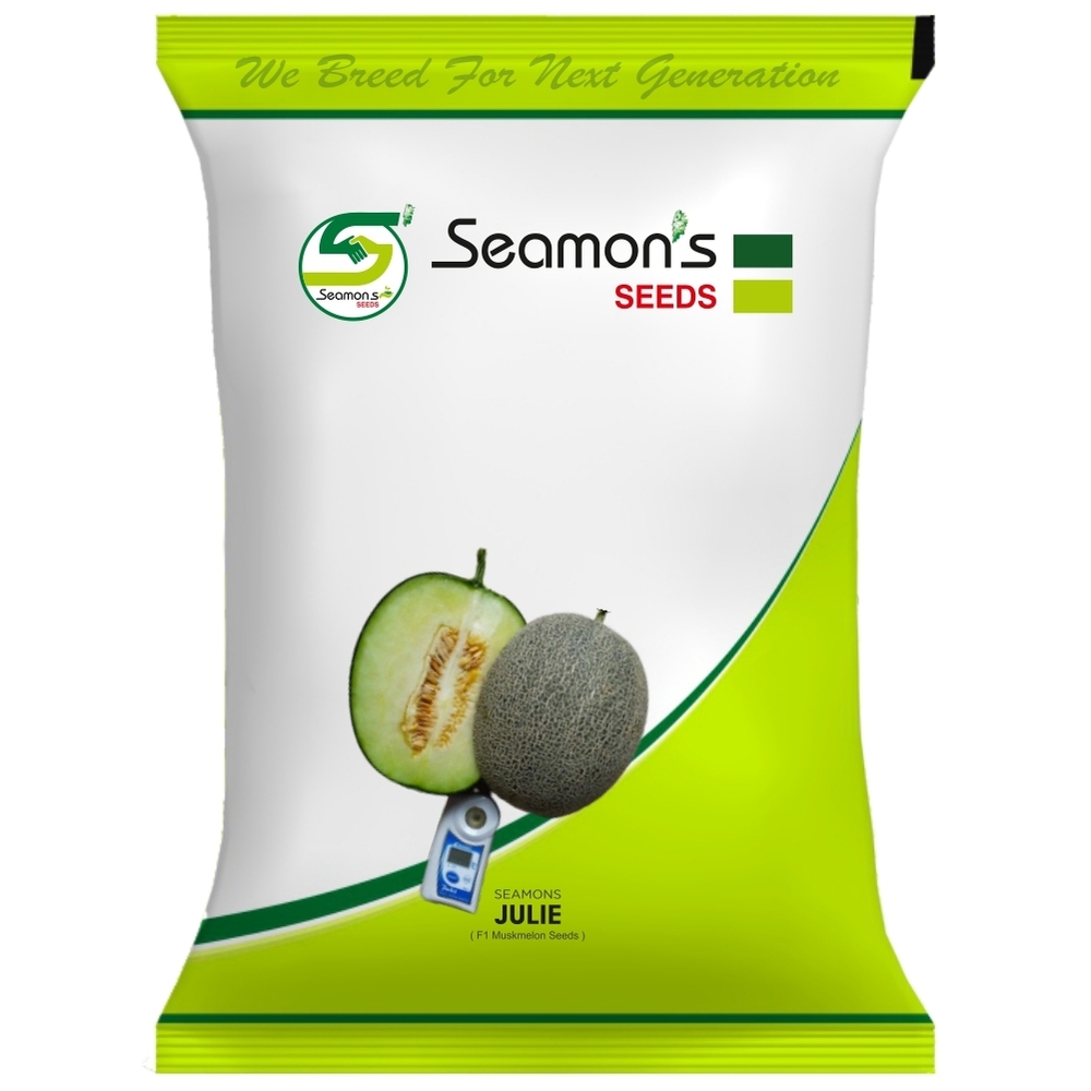 SEAMONS JULIE Muskmelon Seeds
