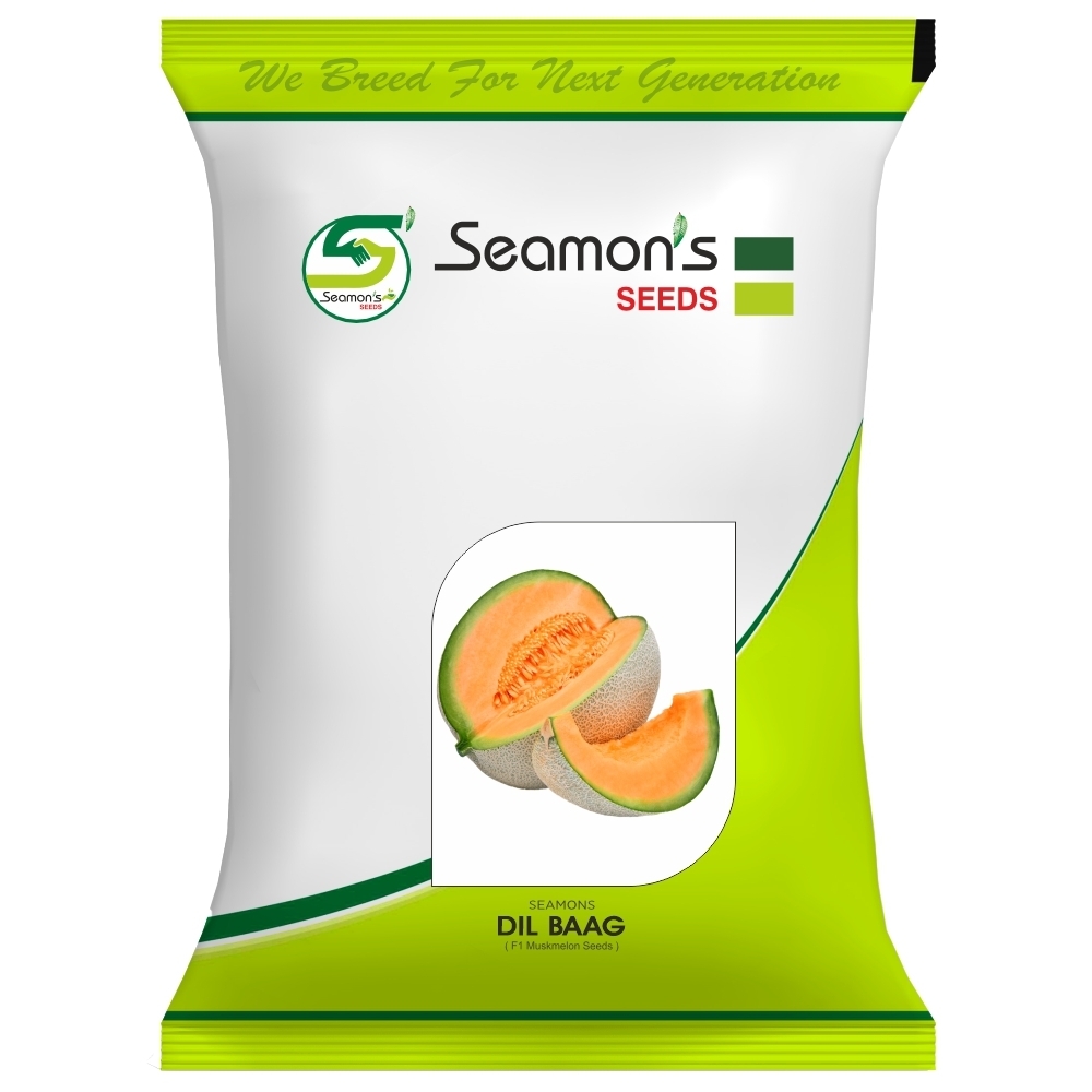 DIL BAAG Muskmelon Seeds